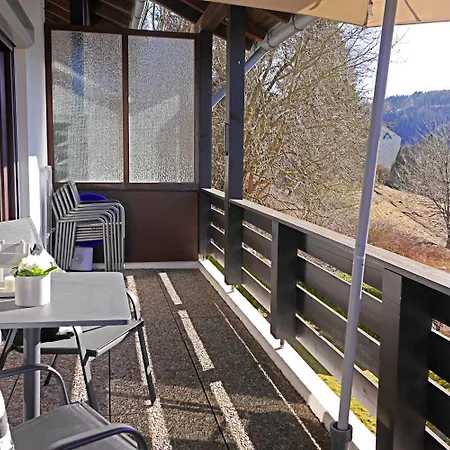 Schoener Ausblick 公寓 *